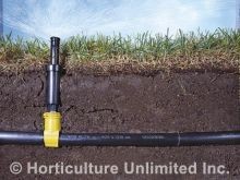 Irrigation System Design & Installation