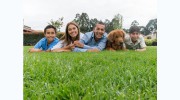 A Prolawn Services