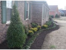 Great Landscaping