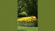 Great Lakes Lawn & Landscape