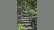 Mosaic Garden Design & Construction