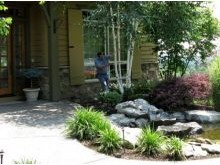 Lake Oswego Pruning
