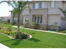 New construction landscaping