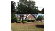 Tree Removal