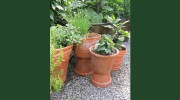 Gardensmith